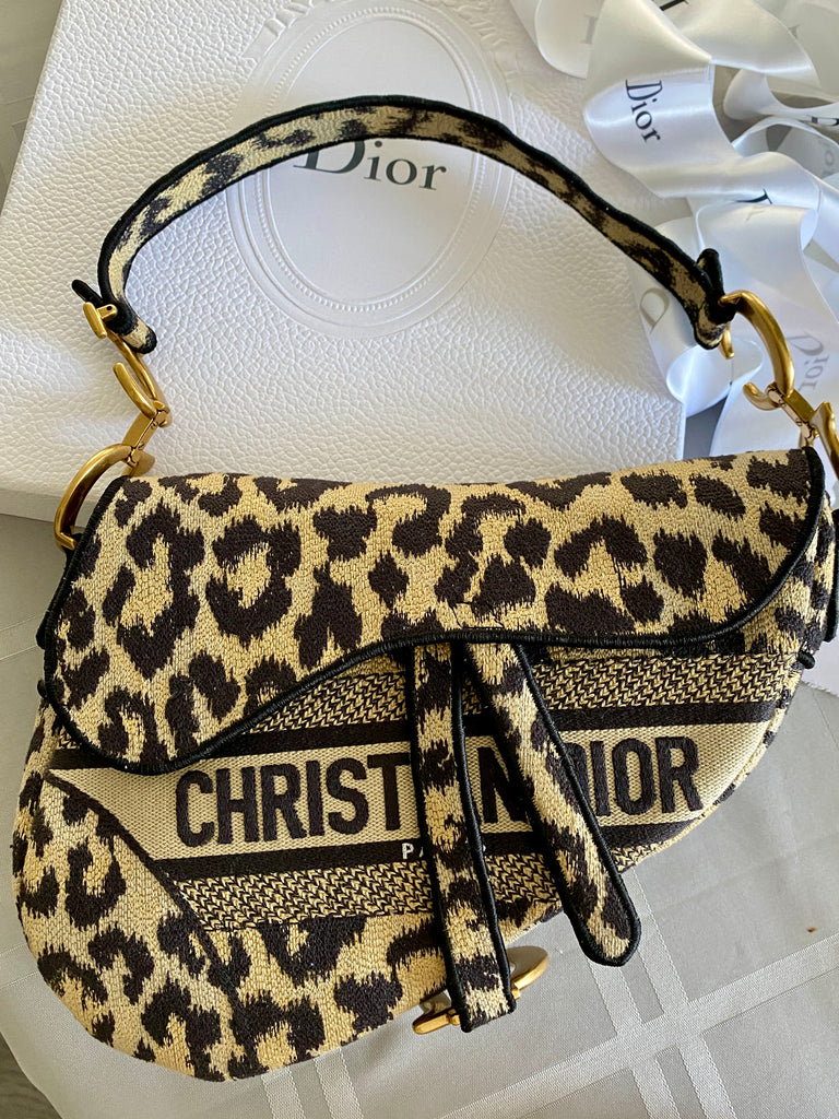 Christian Dior Saddle Bag (Beige Multicolor Mizza Embroidery)
