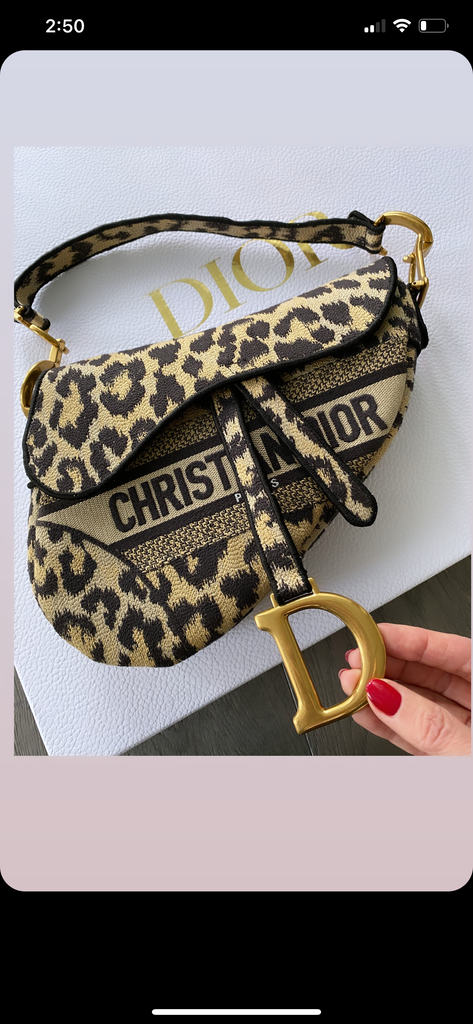 Christian Dior Saddle Bag (Beige Multicolor Mizza Embroidery)