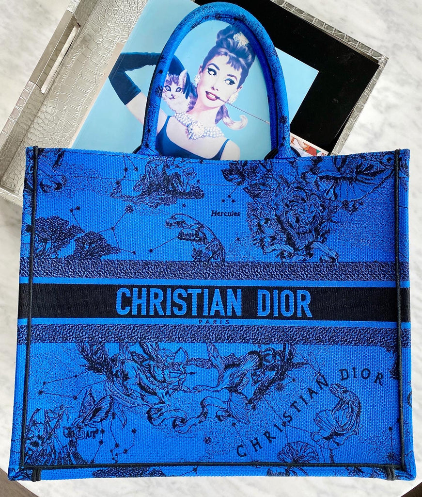 DIOR Large Book Tote