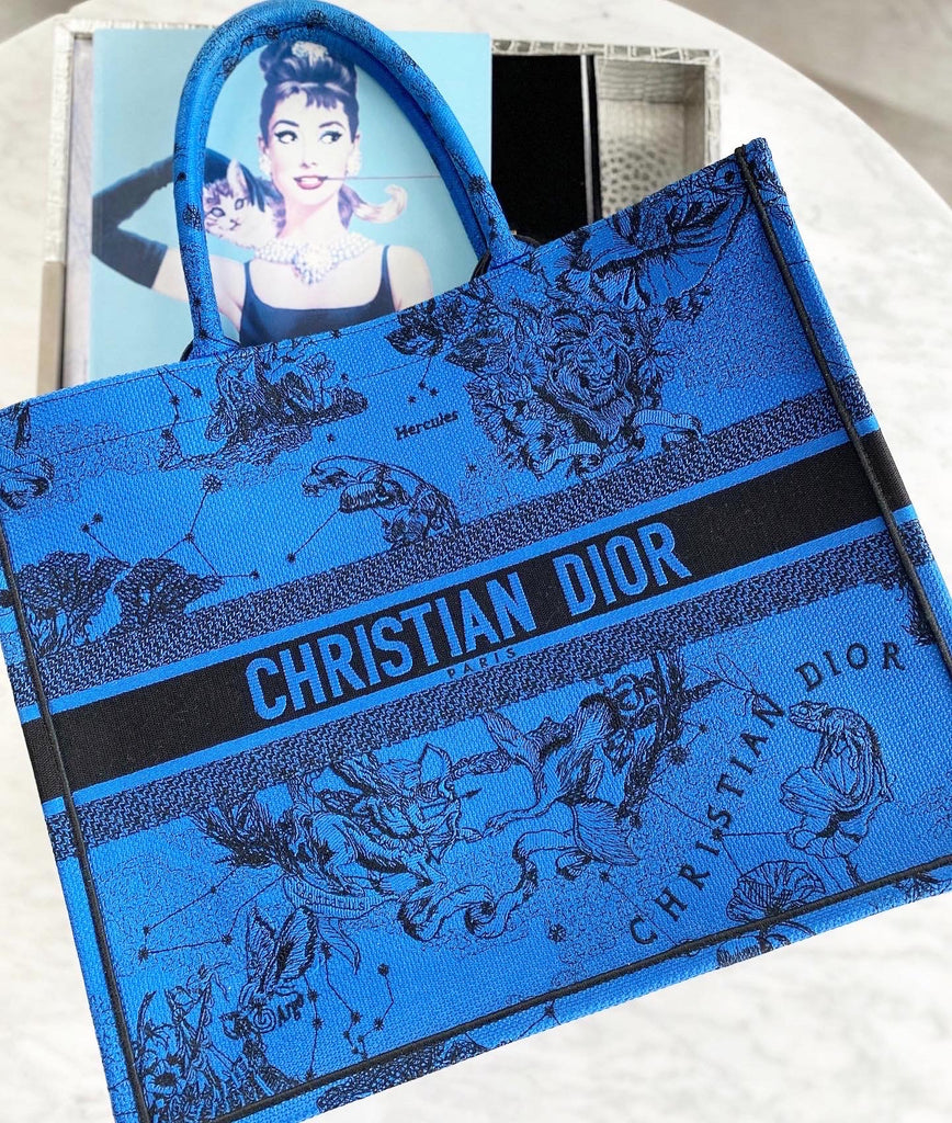 DIOR Large Book Tote